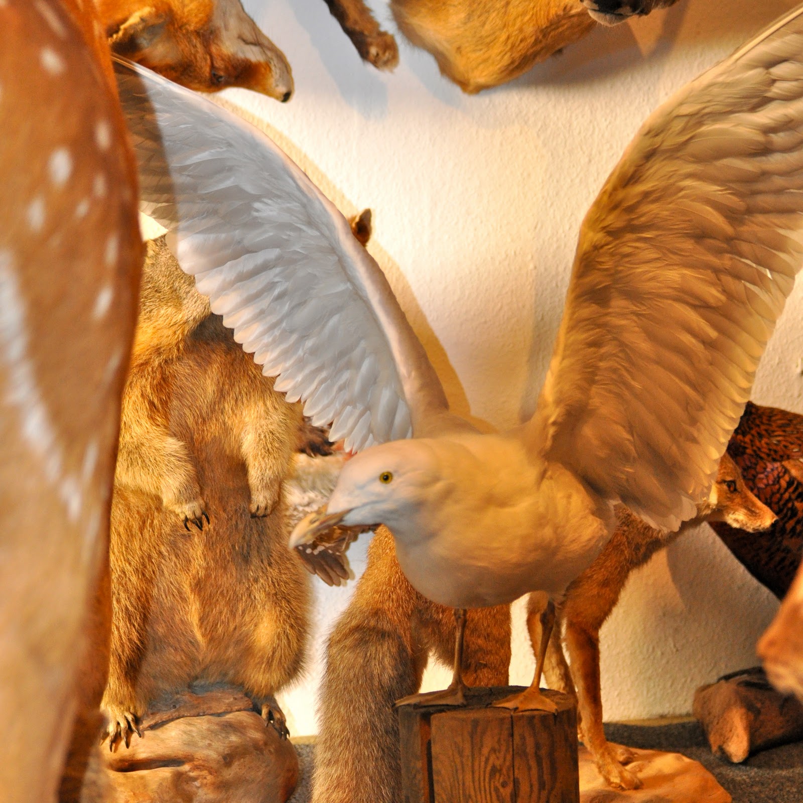 Michael-Weiss-Markelstraße-Berlin-Requisiten-2 Michael-Weiss-Markelstraße-Berlin-Requisiten-2