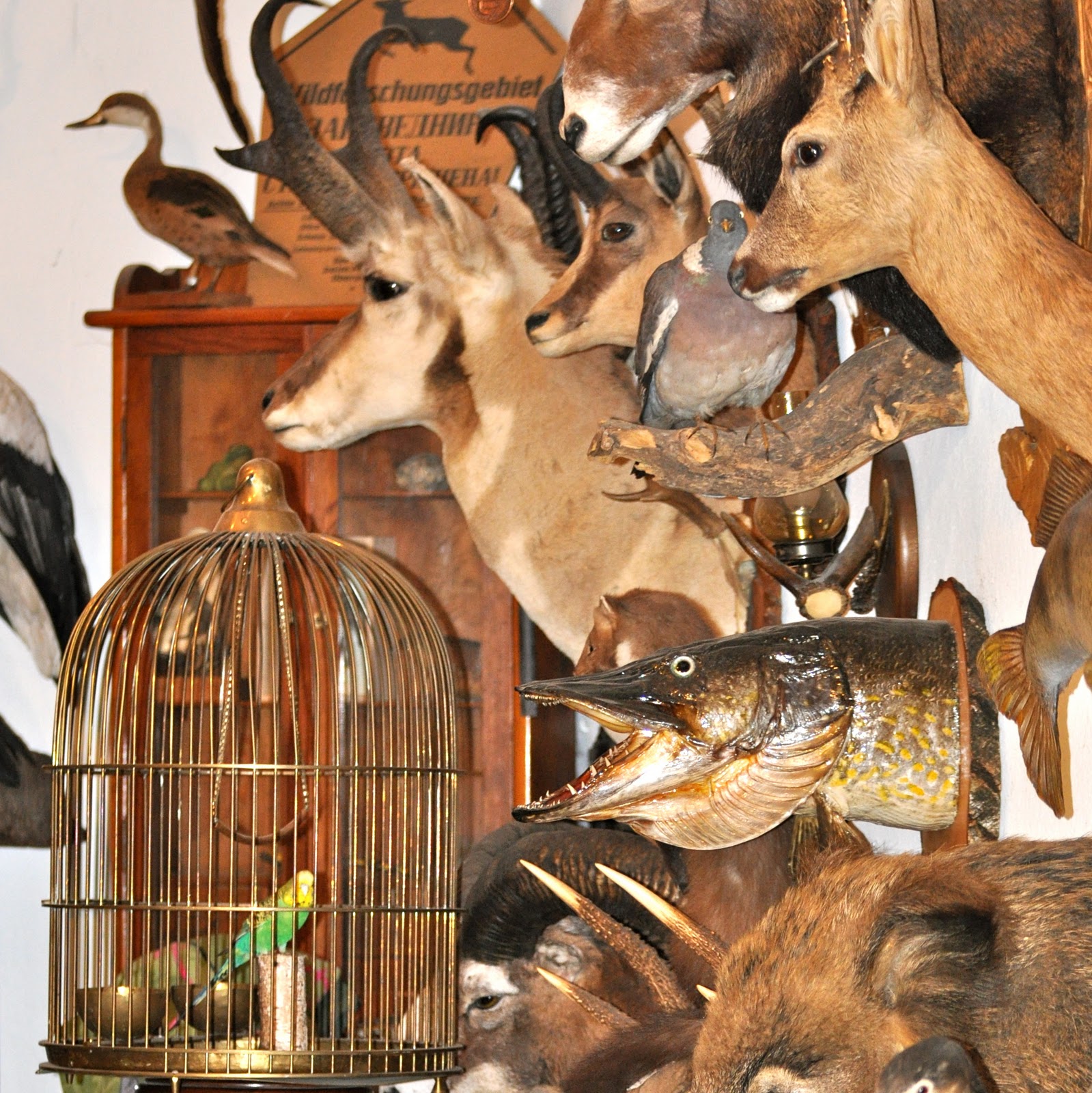 Michael-Weiss-Markelstraße-Berlin-Requisiten-4