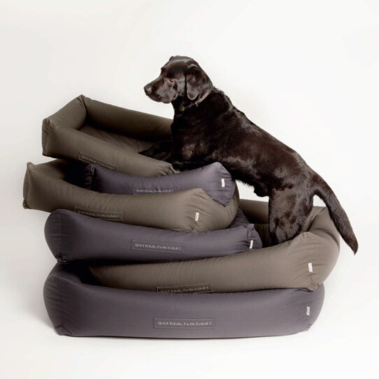 cloud-7-hundeaccessoires-4