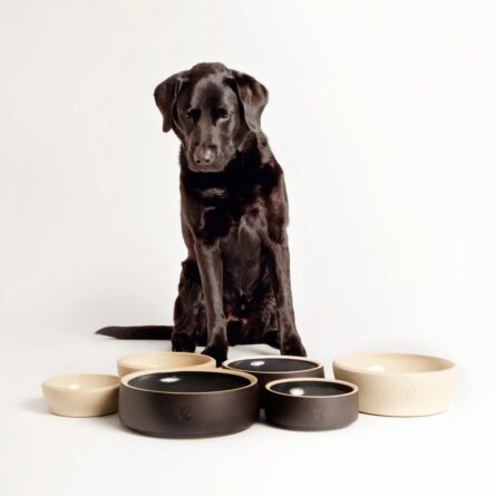 cloud-7-hundeaccessoires-5