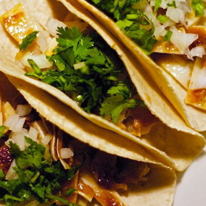 Kitchen-Surfing-Berlin-Ash-Lee