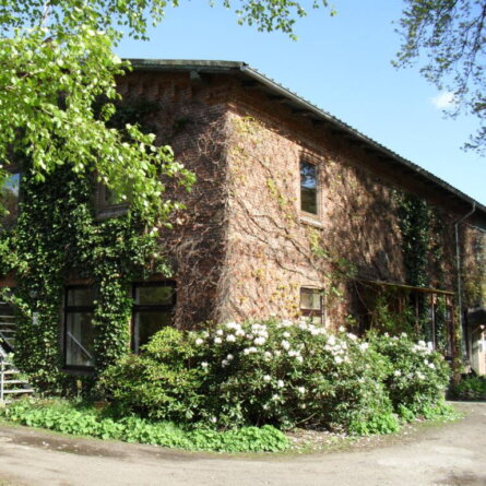 Freilandhof-Kaltenborn-Fleisch-artgerechte Haltung-Berlin-Hof