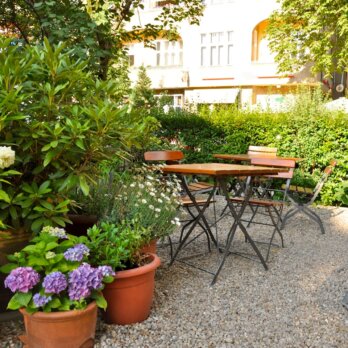 Kaiserdiele-Berlin-Friedenau-Bar-Weingarten Kaiserdiele-Berlin-Friedenau-Bar-Weingarten