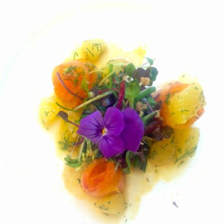 Summer-Lounge-The-Regent-Berlin-Lachs