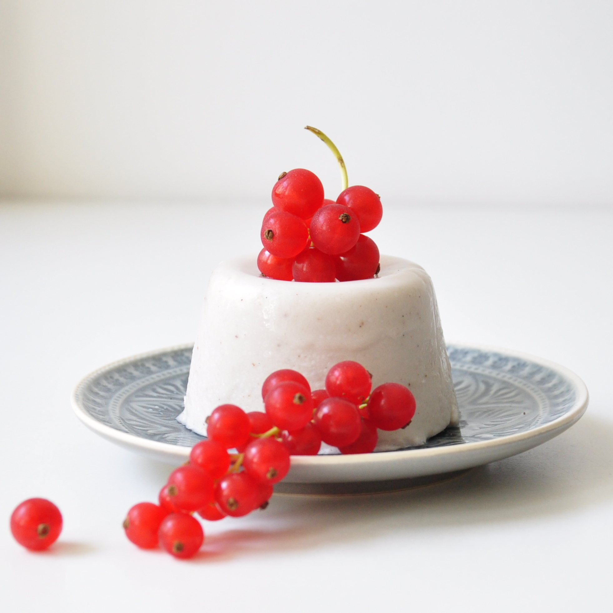 Paleo-Rezept-Kokos Panna-Cotta Paleo-Rezept-Kokos Panna-Cotta