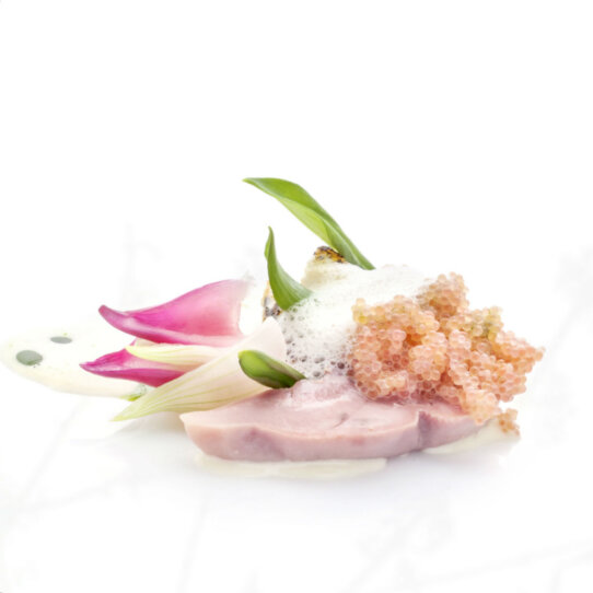 Mielche & hurtigkarl-Copenhagen-5