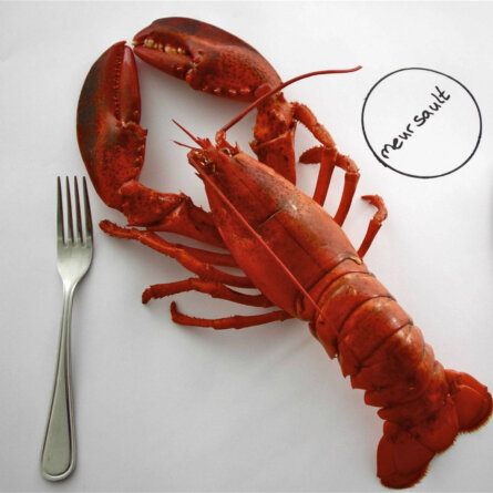 Retour-steak-copenhagen-2