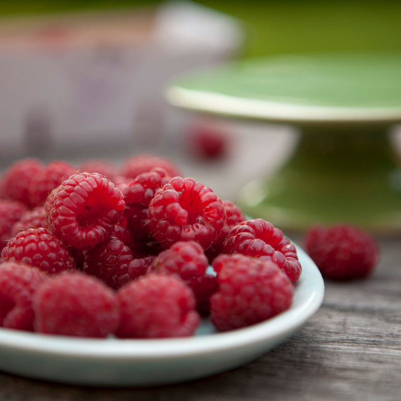 3punktF-keramik-schale-grün