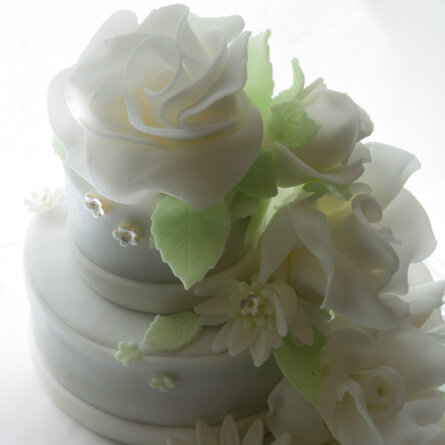 Wencke-Schmid-Torten-Petit-Fours-a-3