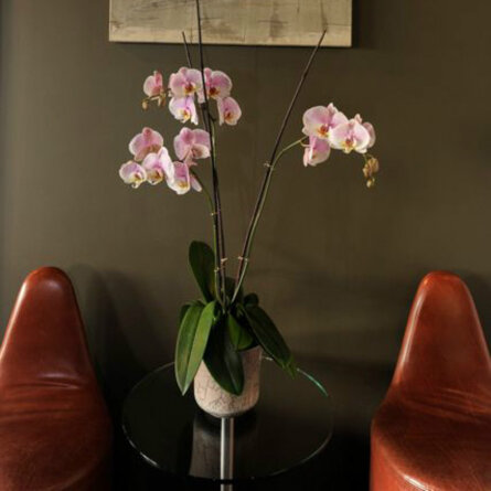 Lady's First_6.5.13_DSC1659