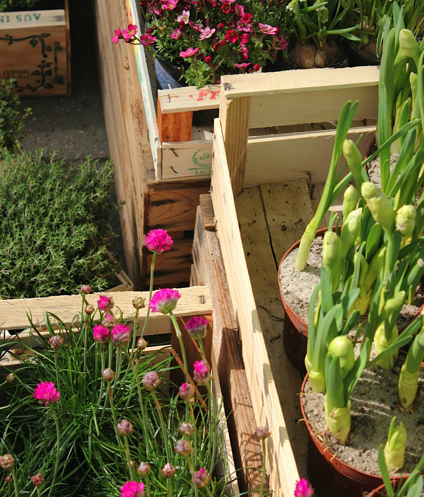 Bluemerant_Blumen_Kasten