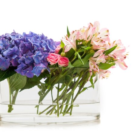 Bloomy Days Blumen Versand online Sträuße