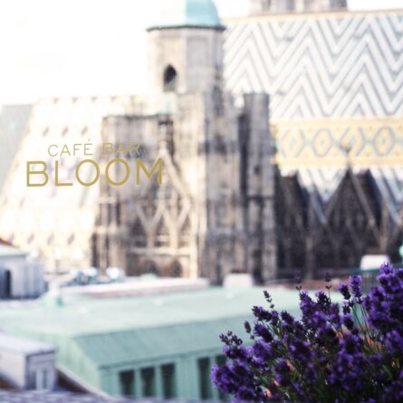 Bloom Dachterrasse Cafe Bar Wien Fenster