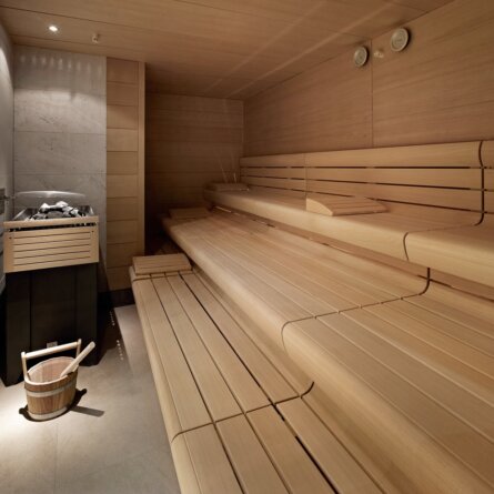Spa Club Sans Souci Hotel Wien Sauna