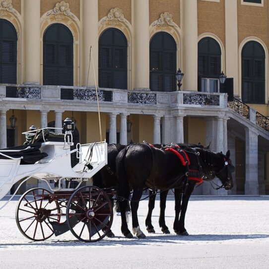 Kutsche vor Schloss Schönbrunn Kutsche vor Schloss Schönbrunn