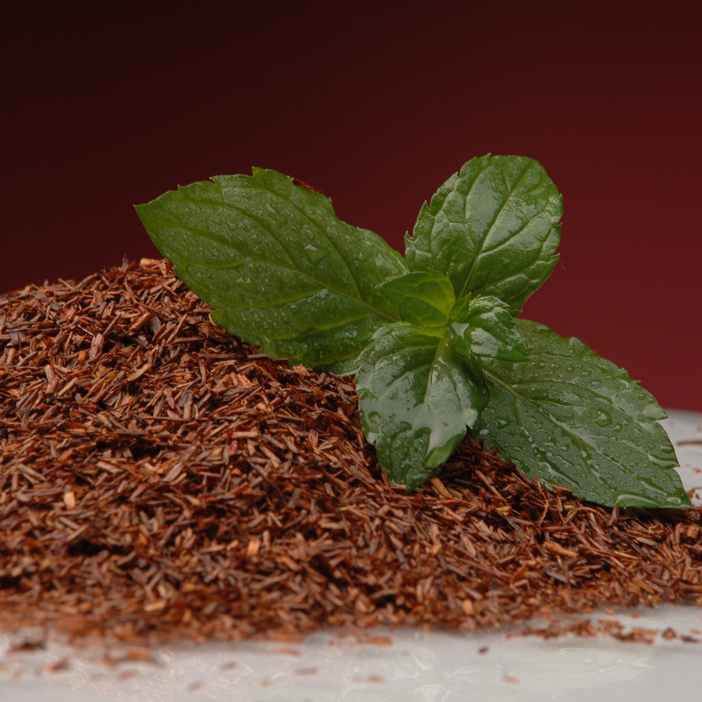 Skoon loser Tee Roibuschtee online bestellen