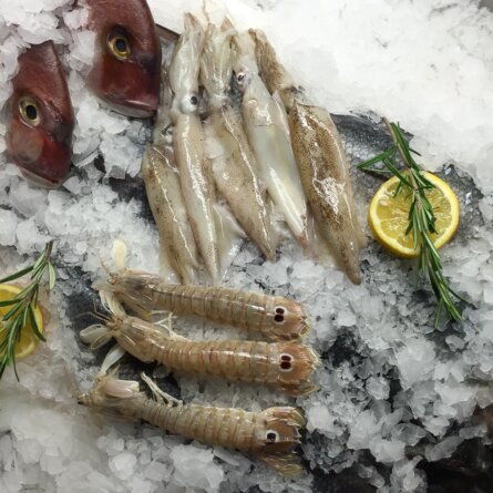 Lesendro Fisch Restaurant Berlin frischer Fisch