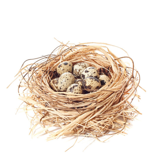 Top 10 für Ostern in Berlin