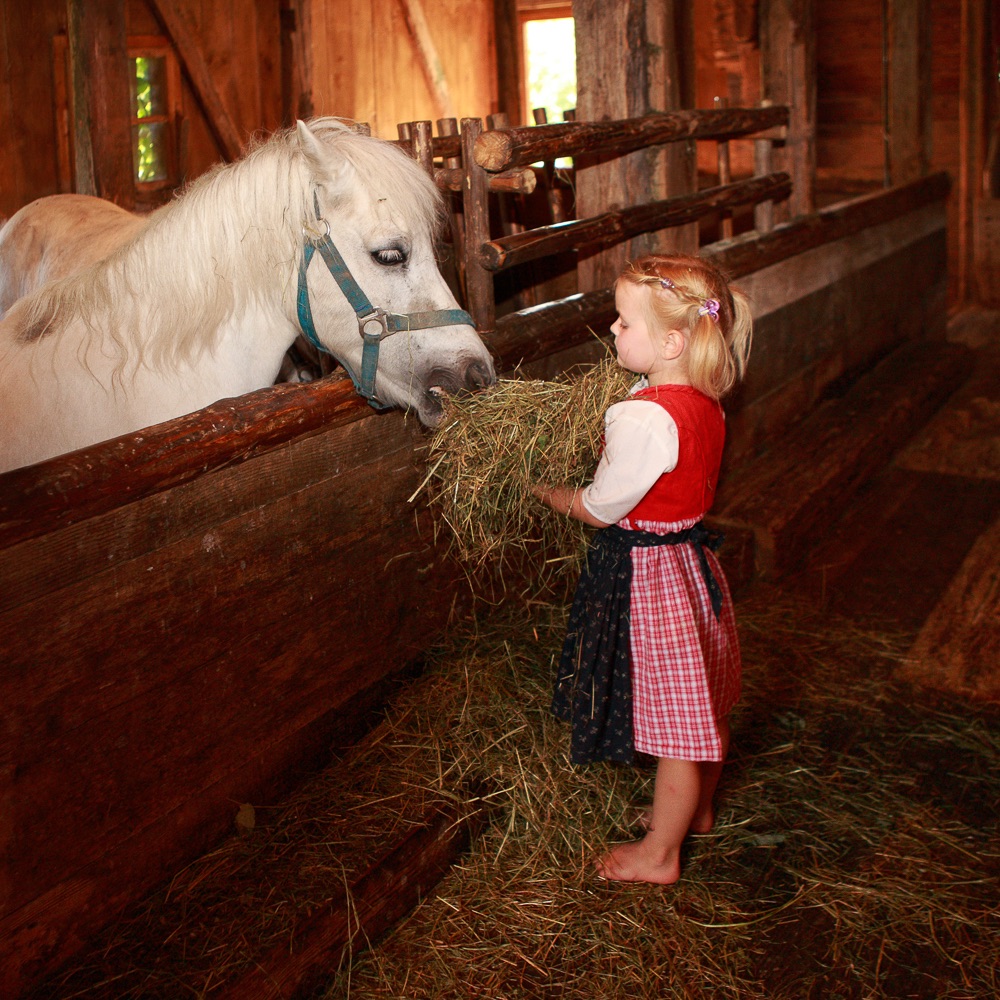 Stanglwirt Hotel Going am Wilden Kaiser Österreich Ponys