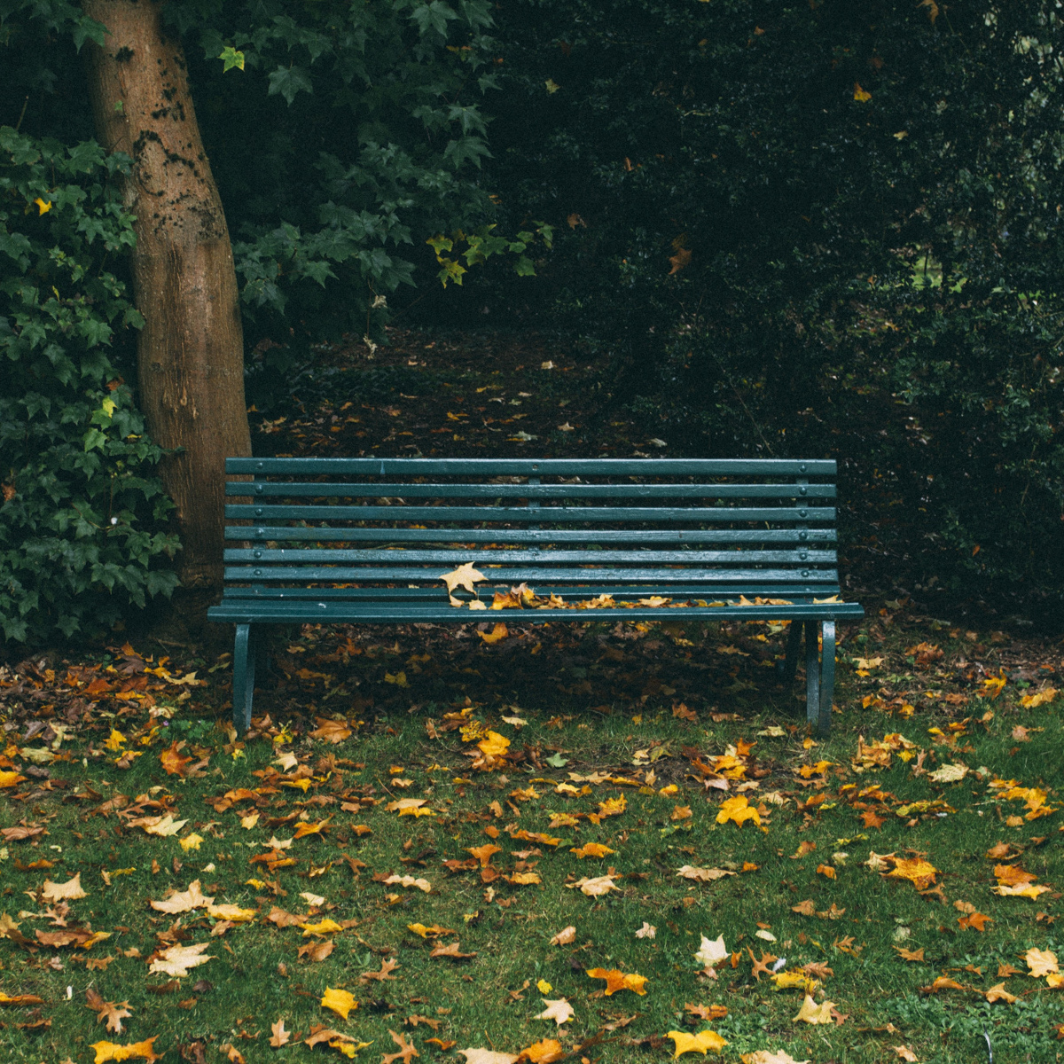 Volkspark Friedrichshain in Berlin