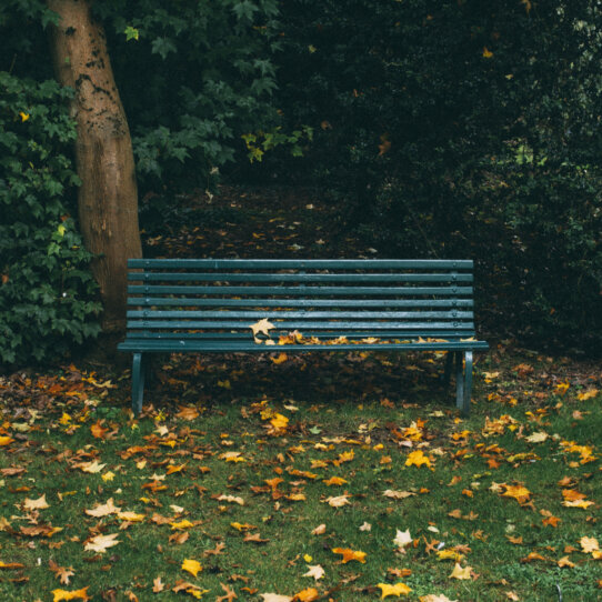 Volkspark Friedrichshain in Berlin