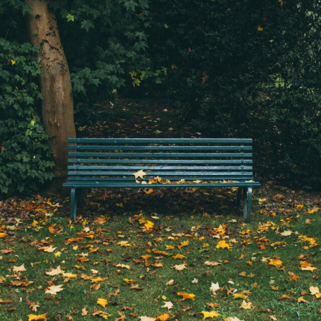 Volkspark Friedrichshain in Berlin Volkspark Friedrichshain in Berlin