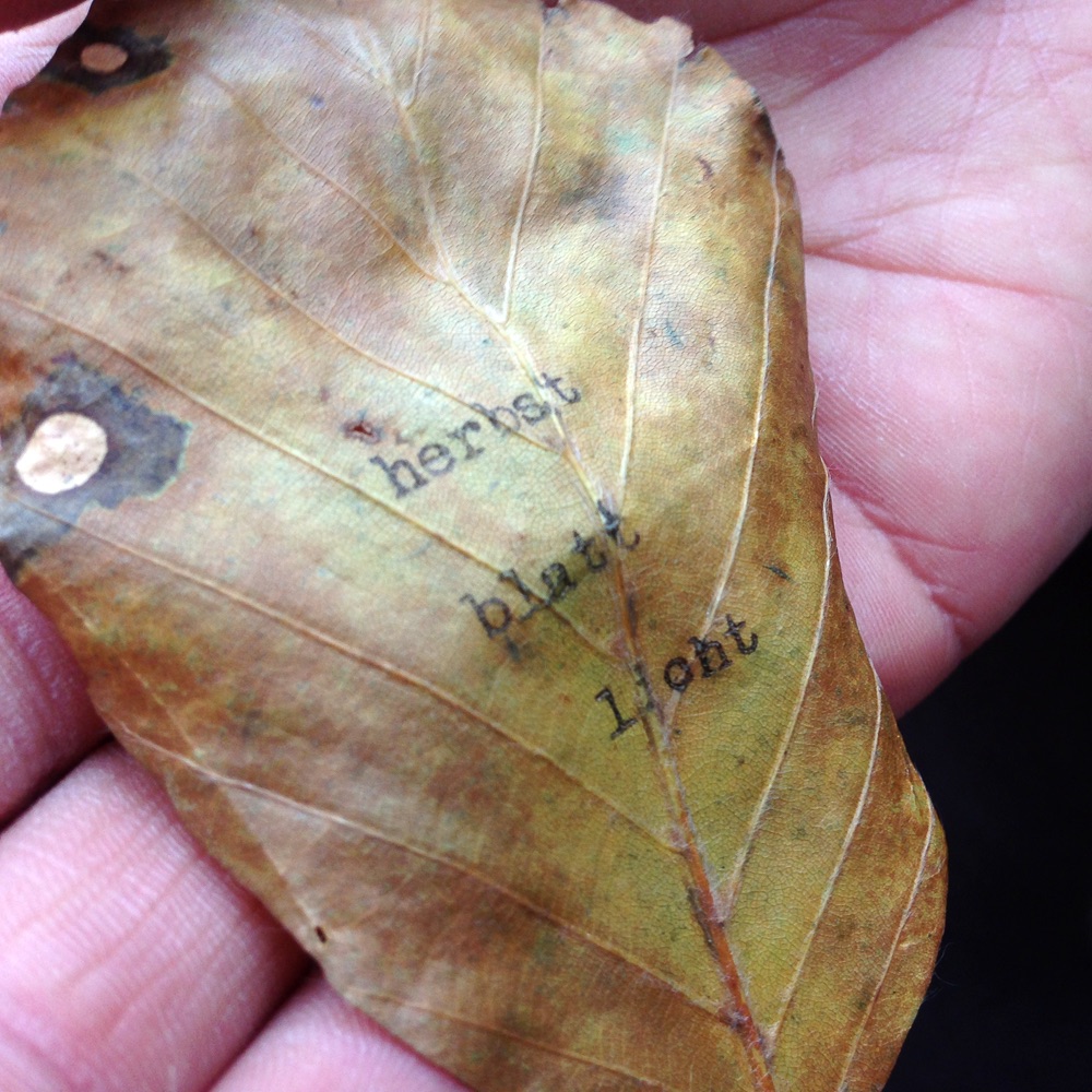 Wortfachgeschäft Nicola Gold Wien Blatt