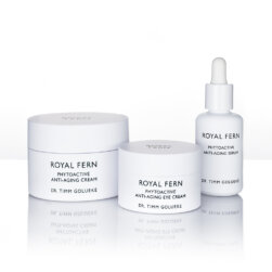 Royal Fern Dr. Timm Gaulke