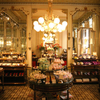 Demel Kaffeeehaus Wien Demel Kaffeeehaus Wien