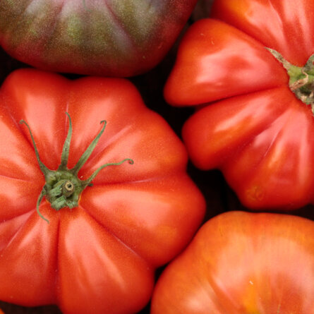 Vivi D'Angelo Foodphotography Tomaten
