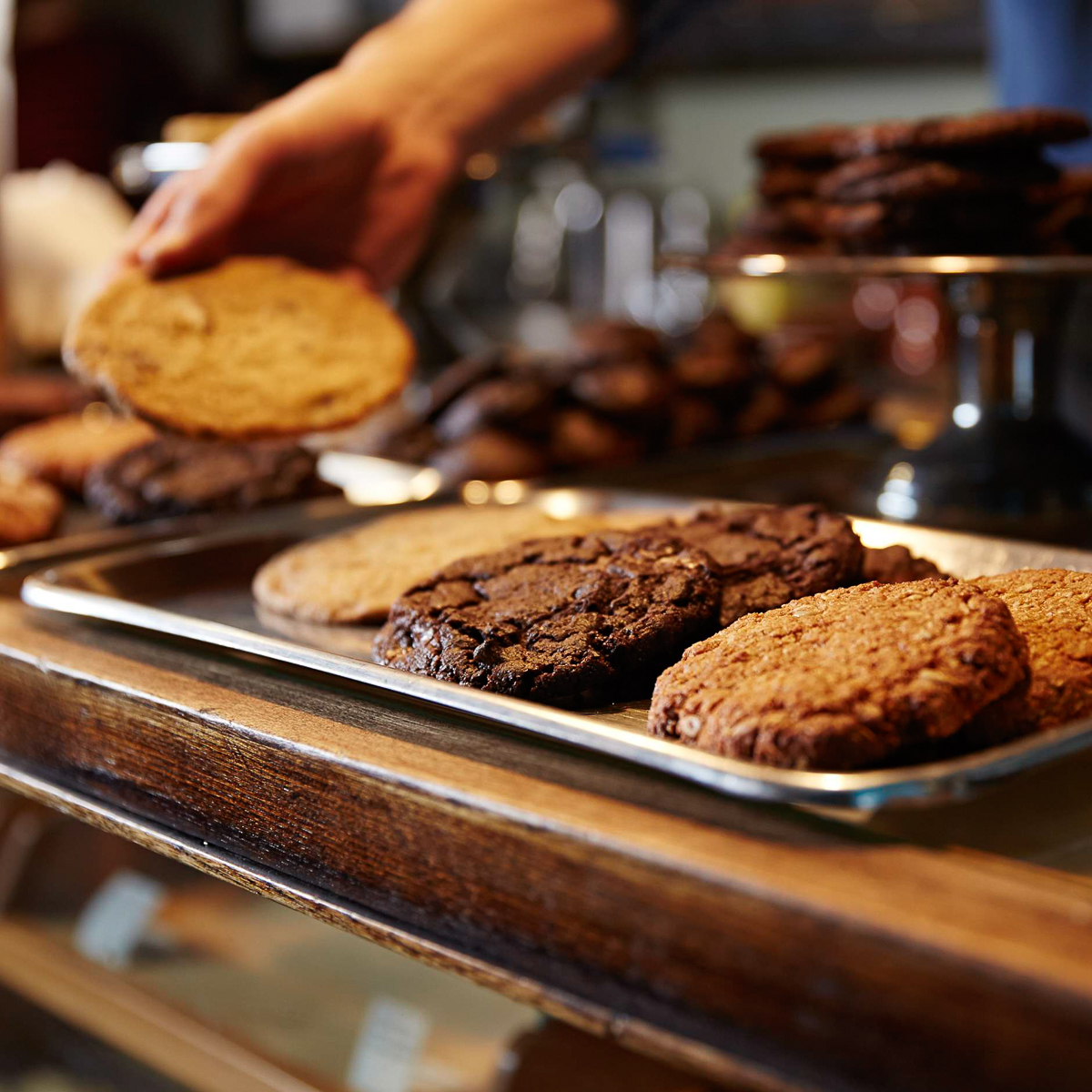 Katies Blue Cat Berlin-2