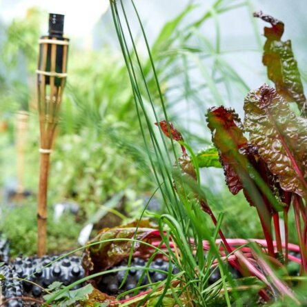 Kulinariat Muenchen (5)