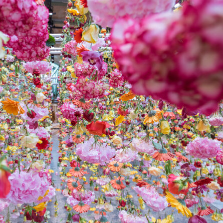 Bikini Berlin Rebecca Louise Law Installation Details