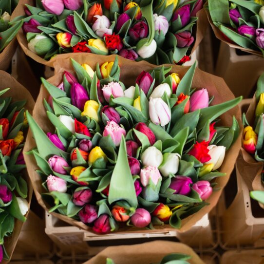 Elisabethmarkt München Blumen Elisabethmarkt München Blumen