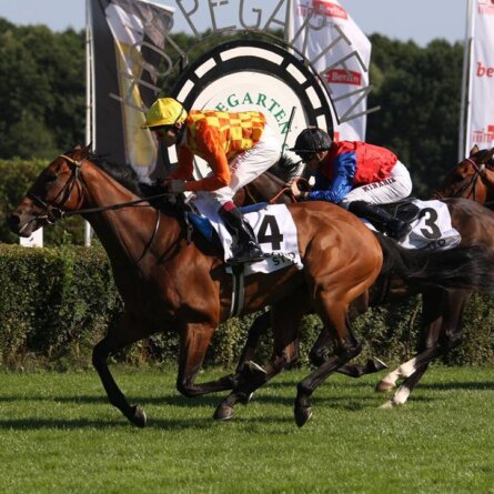 Pferde Rennbahn Hoppegarten Berlin