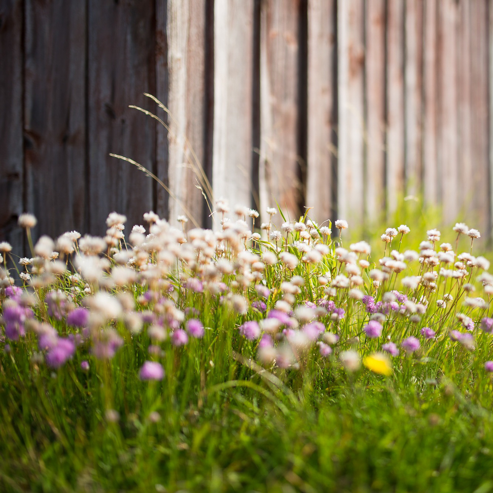 Comenius Geheimer Garten Berlin Neukölln