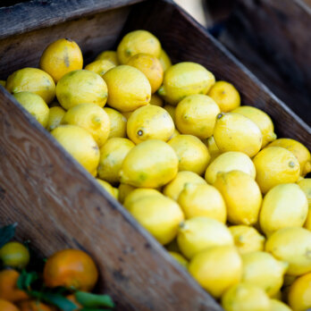 Wochenmarkt Winterfeldtplatz Schöneberg Wochenmarkt Winterfeldtplatz Schöneberg