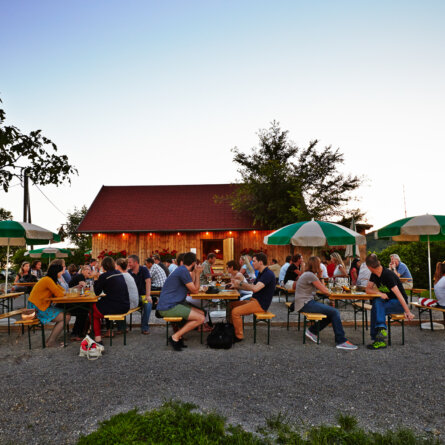 Heuriger Wieninger am Nussberg Wien