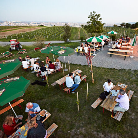 Heuriger Wieninger am Nussberg Wien