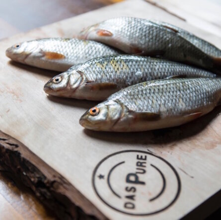 DasPure Räucherei Zürich Schwale