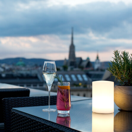 Dstrict Steakhouse im Ritz Carlton Vienna Wien Aussicht