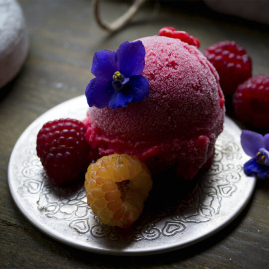 Vidoni Eisdiele Wien Himbeer Veilchen