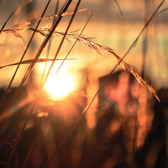 Jana Pakozdi Kolumne Sein Jana Pakozdi Kolumne Sein
