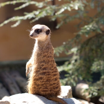 Germendorf Tierpark Oranienburg bei Berlin Germendorf Tierpark Oranienburg bei Berlin