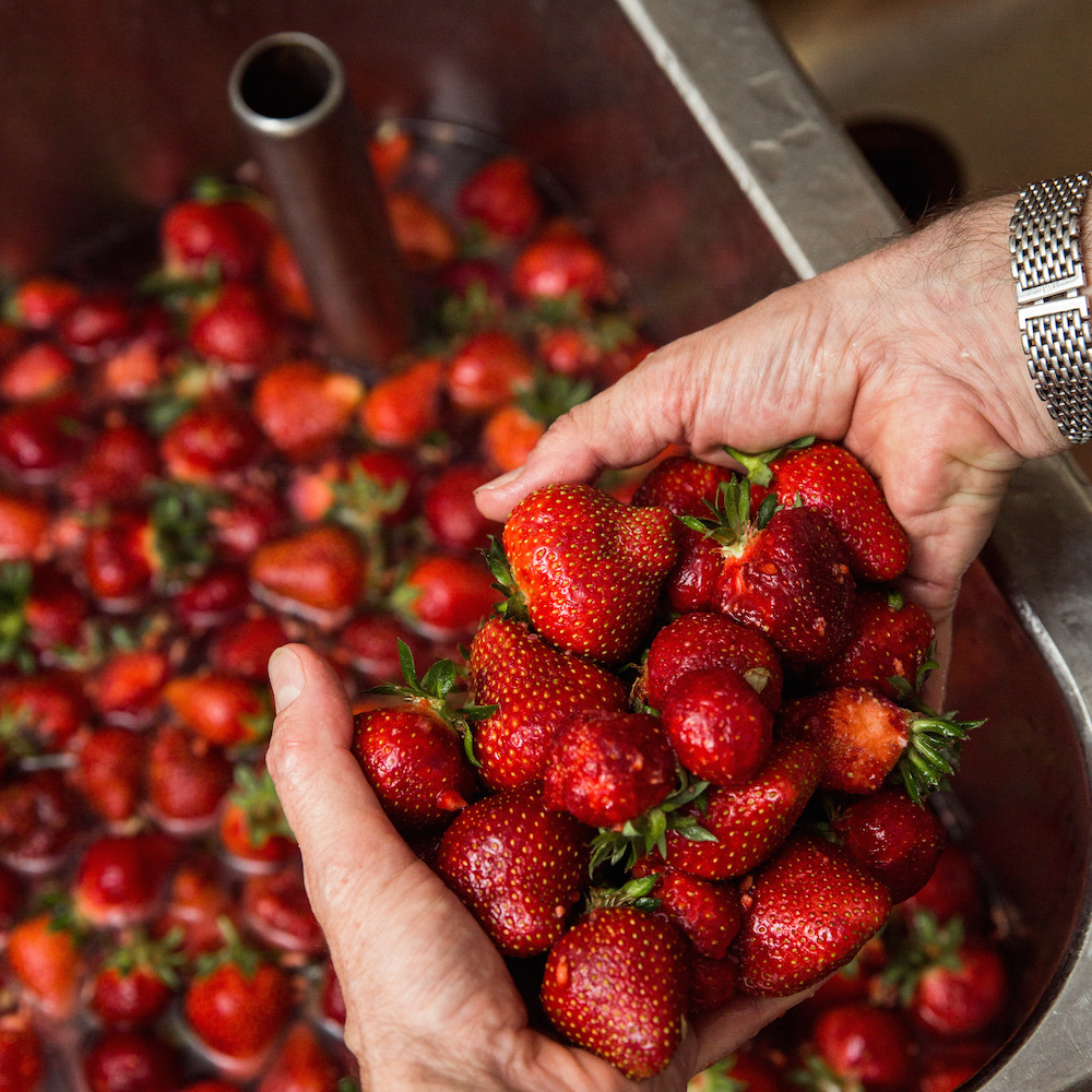 Gelati di Zurigo Erdbeeren