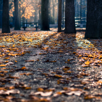 Treptower Park Berlin