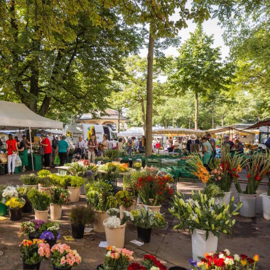 Bürkliplatz Markt Bürkliplatz Markt