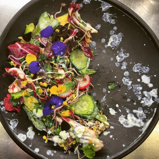 Gratitude Organic Eatery München - Vegetarisches Restaurant Maxvorstadt