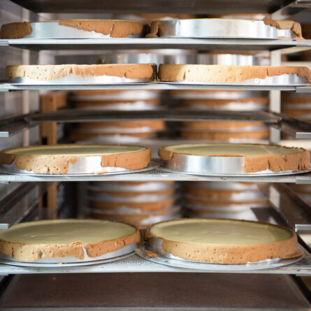 Bravo Bravko Berlin-2