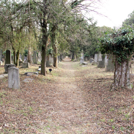 Alter jüdischer Teil des Zentralfriedhofs Wien-3